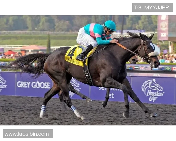 足球明星荣耀时刻高清照片展现冠军风采与激情瞬间